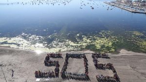 PSOE: “El Mar Menor ya está protegido frente a la inacción de la CARM”
